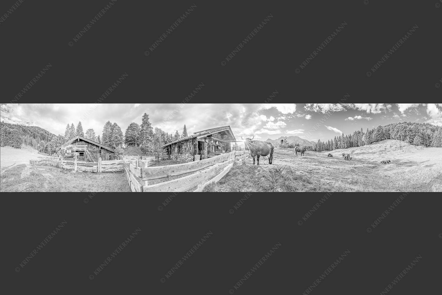 Malerische Almhütte bei Mittenwald mit Karwendel - Almbiente IV 5:1 sw -- Mittenwald Alm Buckelwiesen Karwendel - mehr Infos bei www.Kriner-Weiermann.de