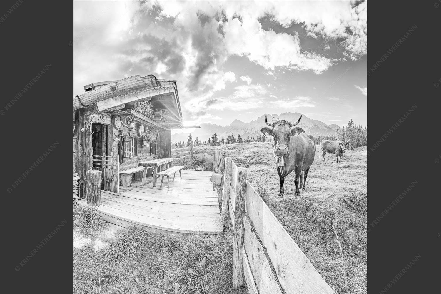 Malerische Almhütte bei Mittenwald mit Karwendel - Almbiente 1:1 sw -- Mittenwald Alm Buckelwiesen Karwendel - mehr Infos bei www.Kriner-Weiermann.de