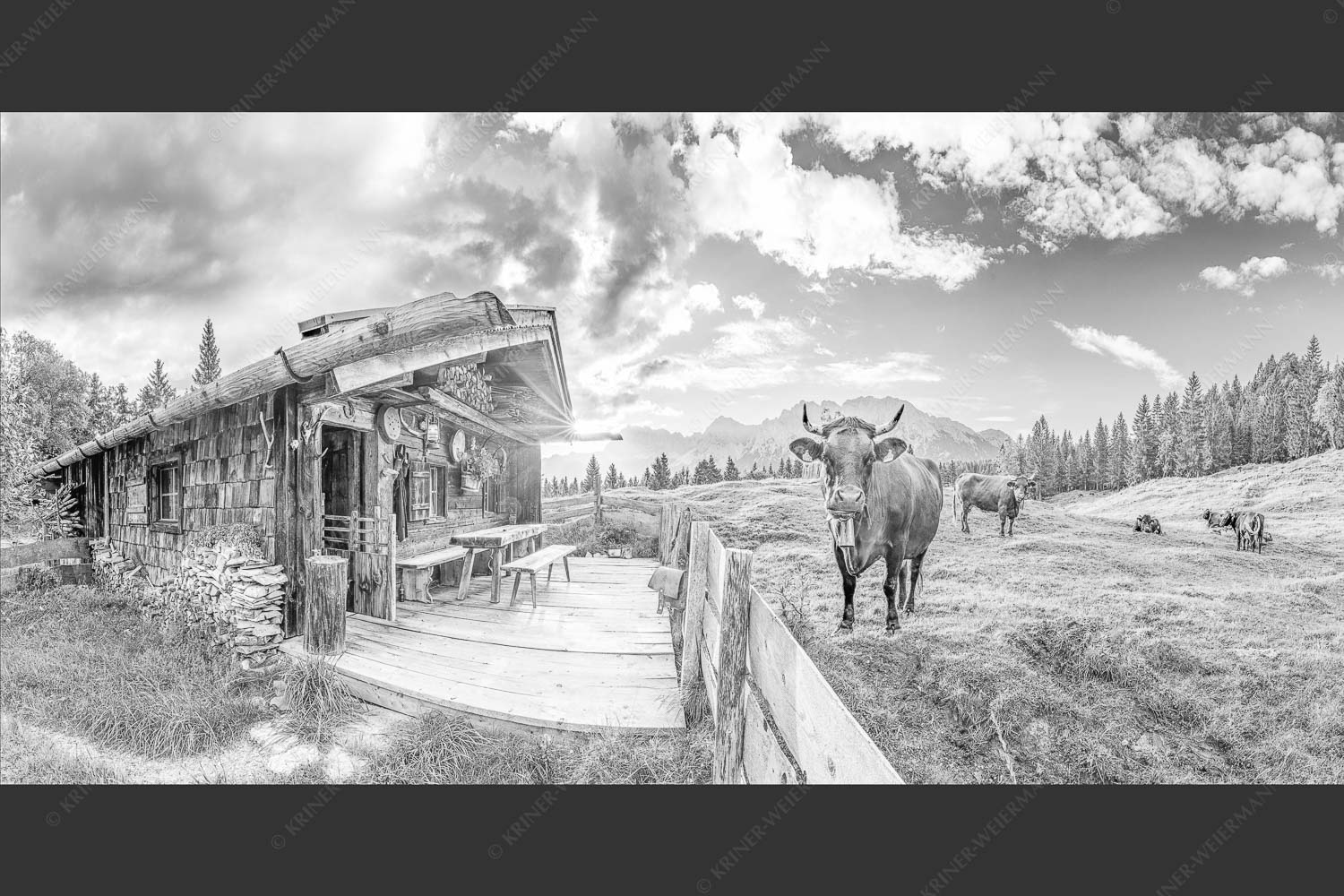 Malerische Almhütte bei Mittenwald mit Karwendel - Almbiente 2:1 sw -- Mittenwald Alm Buckelwiesen Karwendel - mehr Infos bei www.Kriner-Weiermann.de