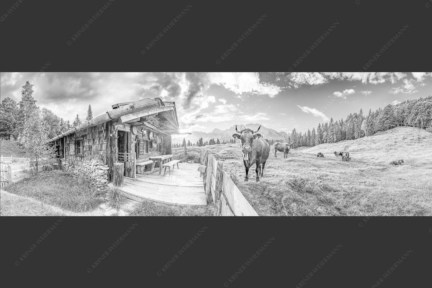 Malerische Almhütte bei Mittenwald mit Karwendel - Almbiente 3:1 sw -- Mittenwald Alm Buckelwiesen Karwendel - mehr Infos bei www.Kriner-Weiermann.de