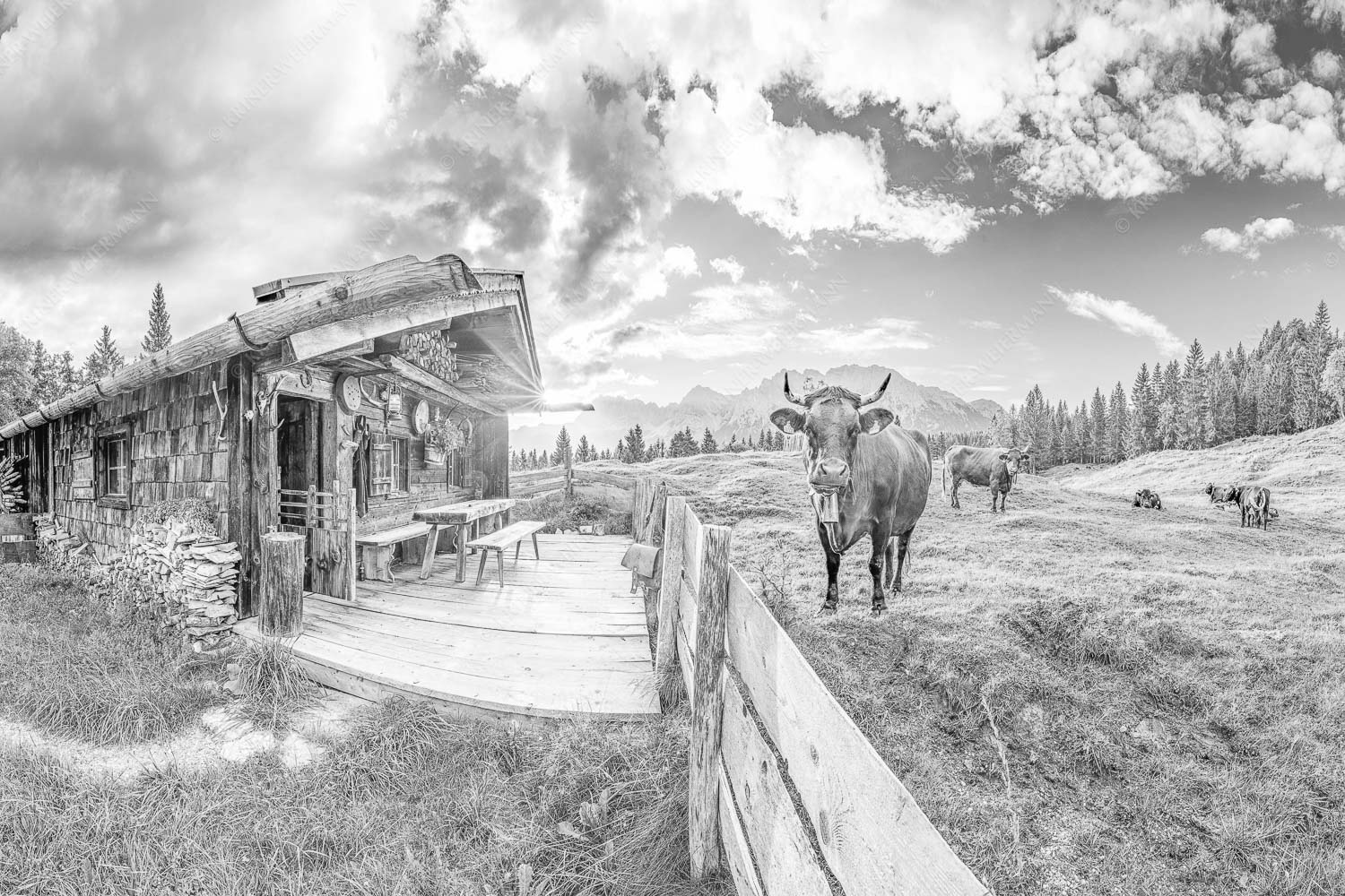 Malerische Almhütte bei Mittenwald mit Karwendel - Almbiente 3:2 sw -- Mittenwald Alm Buckelwiesen Karwendel - mehr Infos bei www.Kriner-Weiermann.de