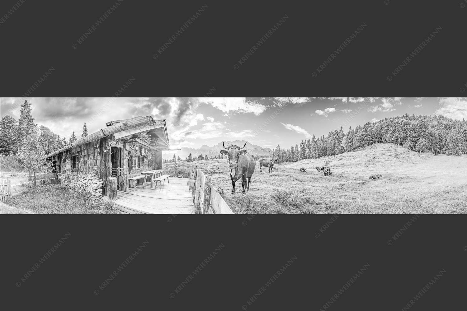 Malerische Almhütte bei Mittenwald mit Karwendel - Almbiente 4:1 sw -- Mittenwald Alm Buckelwiesen Karwendel - mehr Infos bei www.Kriner-Weiermann.de