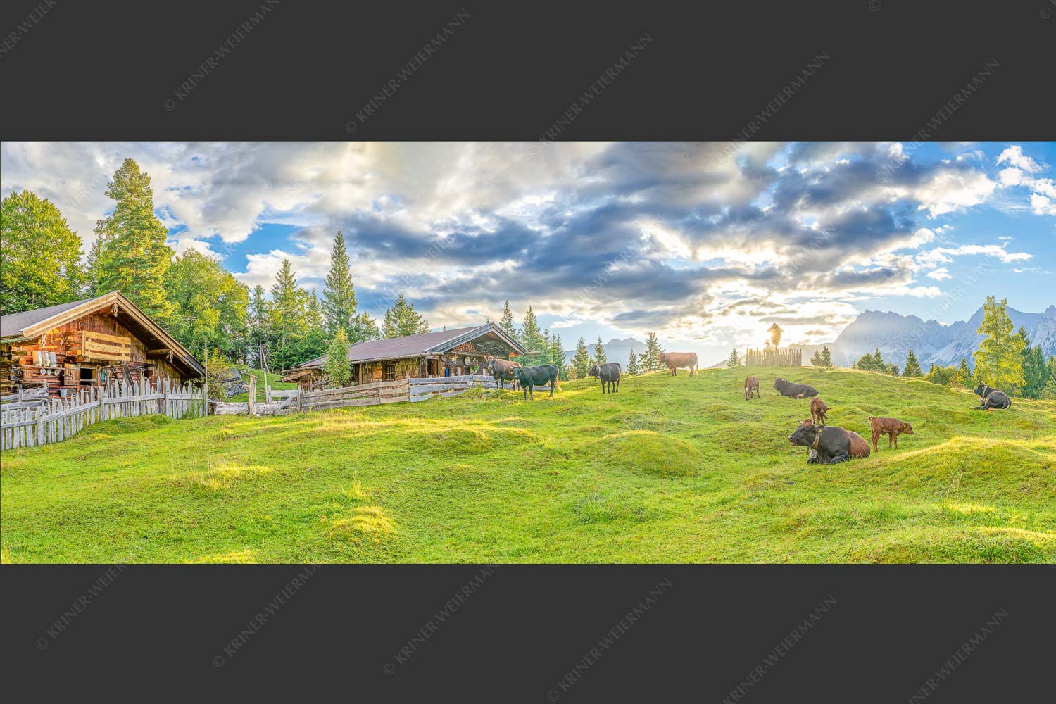 Friedliche Almwiese bei Mittenwald mit Karwendel im Morgenlicht - Oimarisch 2,5:1  -- Mittenwald Buckelwiesen Alm - mehr Infos bei www.Kriner-Weiermann.de