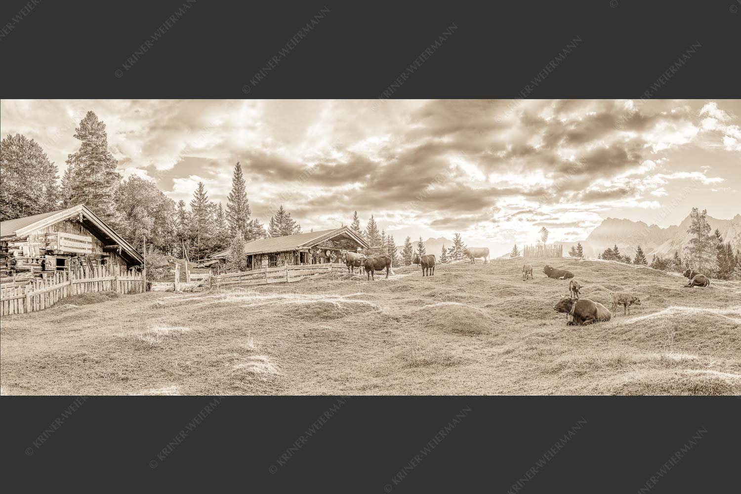 Friedliche Almwiese bei Mittenwald mit Karwendel im Morgenlicht - Oimarisch 2,5:1 sepia -- Mittenwald Buckelwiesen Alm - mehr Infos bei www.Kriner-Weiermann.de