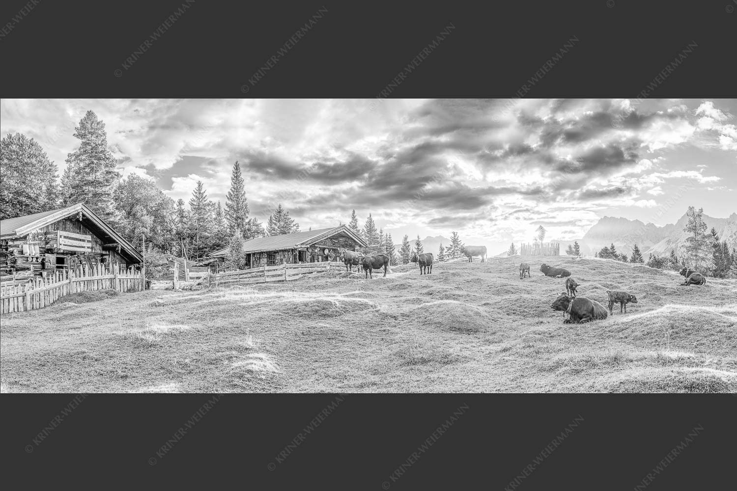 Friedliche Almwiese bei Mittenwald mit Karwendel im Morgenlicht - Oimarisch 2,5:1 sw -- Mittenwald Buckelwiesen Alm - mehr Infos bei www.Kriner-Weiermann.de