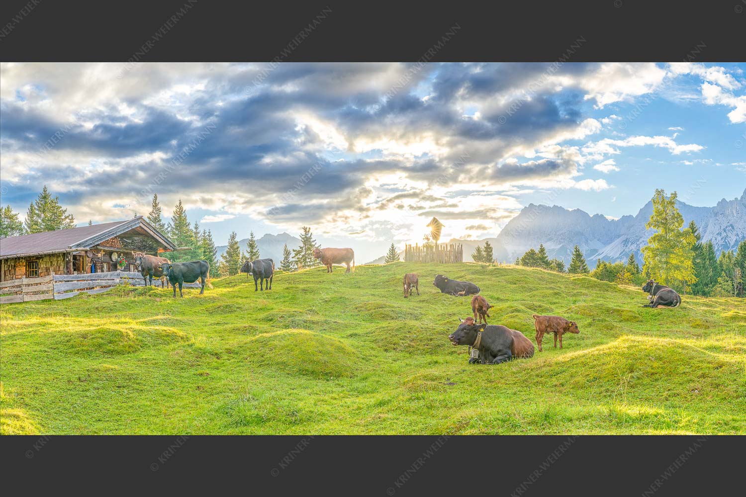 Friedliche Almwiese bei Mittenwald mit Karwendel im Morgenlicht - Oimarisch 2:1  -- Mittenwald Buckelwiesen Alm - mehr Infos bei www.Kriner-Weiermann.de