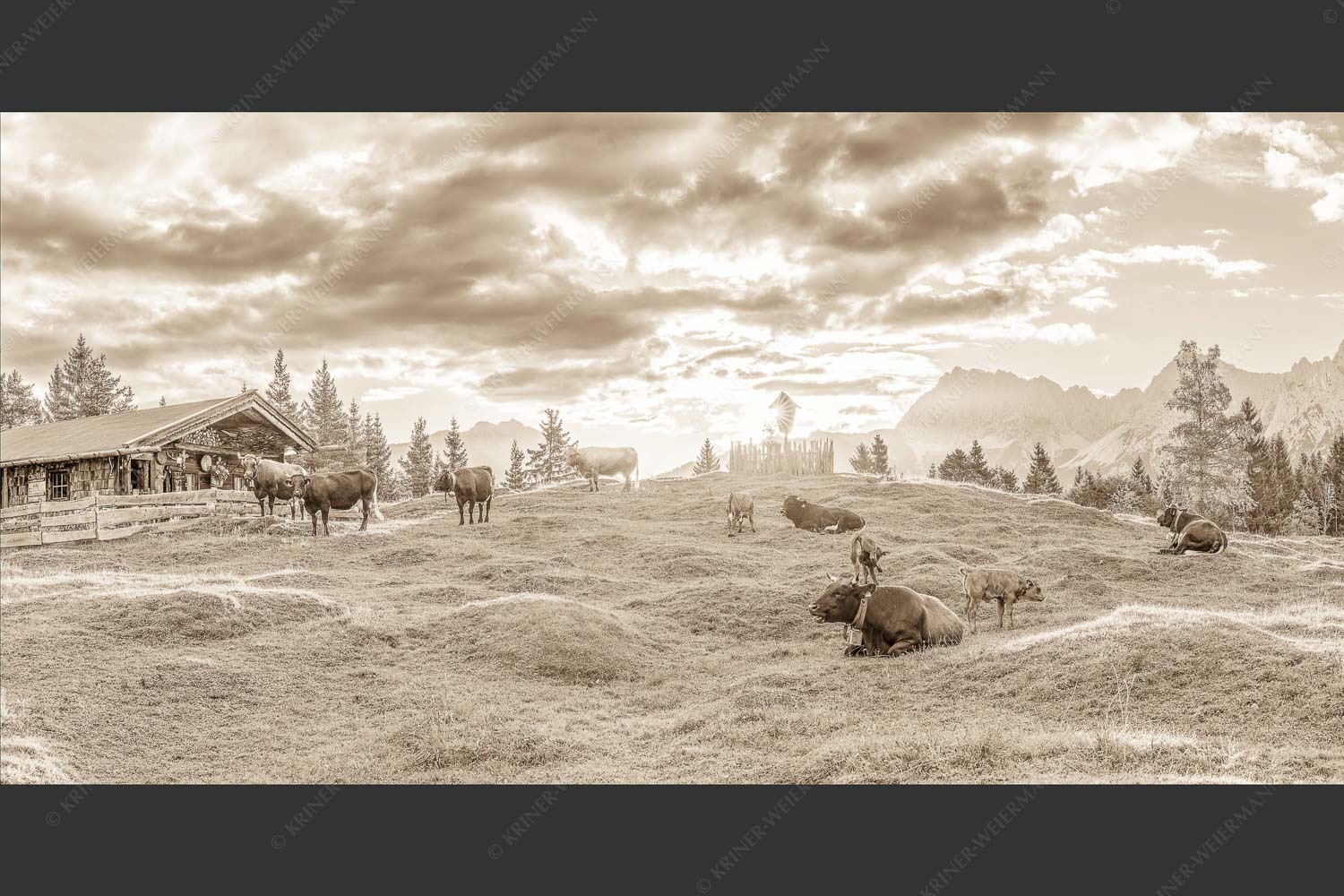 Friedliche Almwiese bei Mittenwald mit Karwendel im Morgenlicht - Oimarisch 2:1 sepia -- Mittenwald Buckelwiesen Alm - mehr Infos bei www.Kriner-Weiermann.de