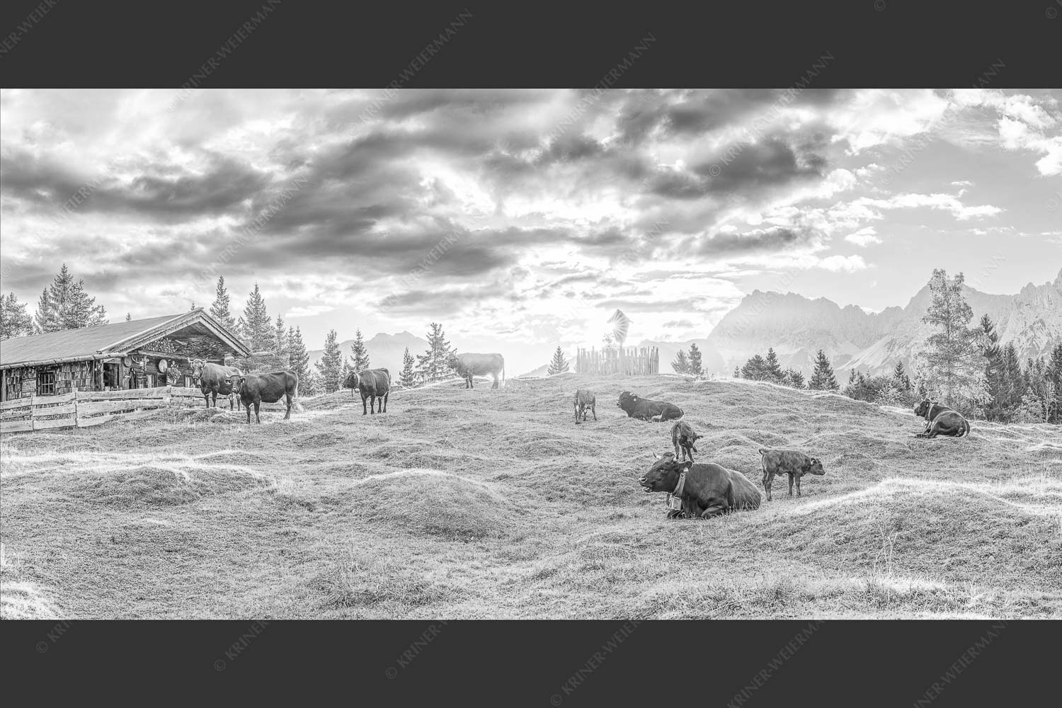 Friedliche Almwiese bei Mittenwald mit Karwendel im Morgenlicht - Oimarisch 2:1 sw -- Mittenwald Buckelwiesen Alm - mehr Infos bei www.Kriner-Weiermann.de