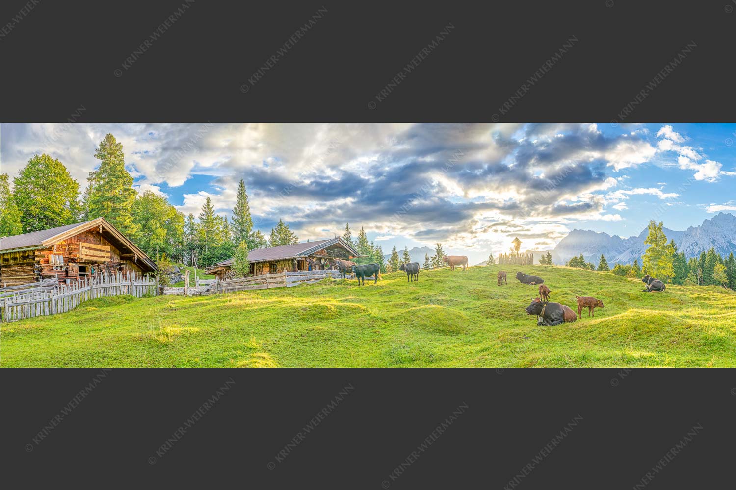 Friedliche Almwiese bei Mittenwald mit Karwendel im Morgenlicht - Oimarisch 3:1  -- Mittenwald Buckelwiesen Alm - mehr Infos bei www.Kriner-Weiermann.de