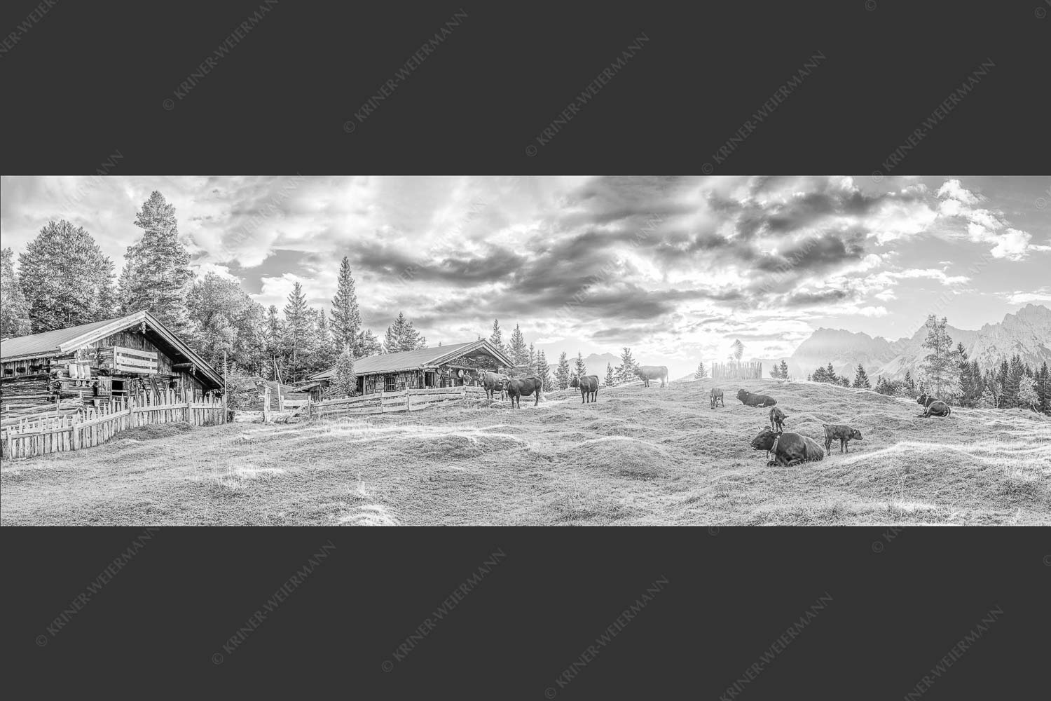 Friedliche Almwiese bei Mittenwald mit Karwendel im Morgenlicht - Oimarisch 3:1 sw -- Mittenwald Buckelwiesen Alm - mehr Infos bei www.Kriner-Weiermann.de