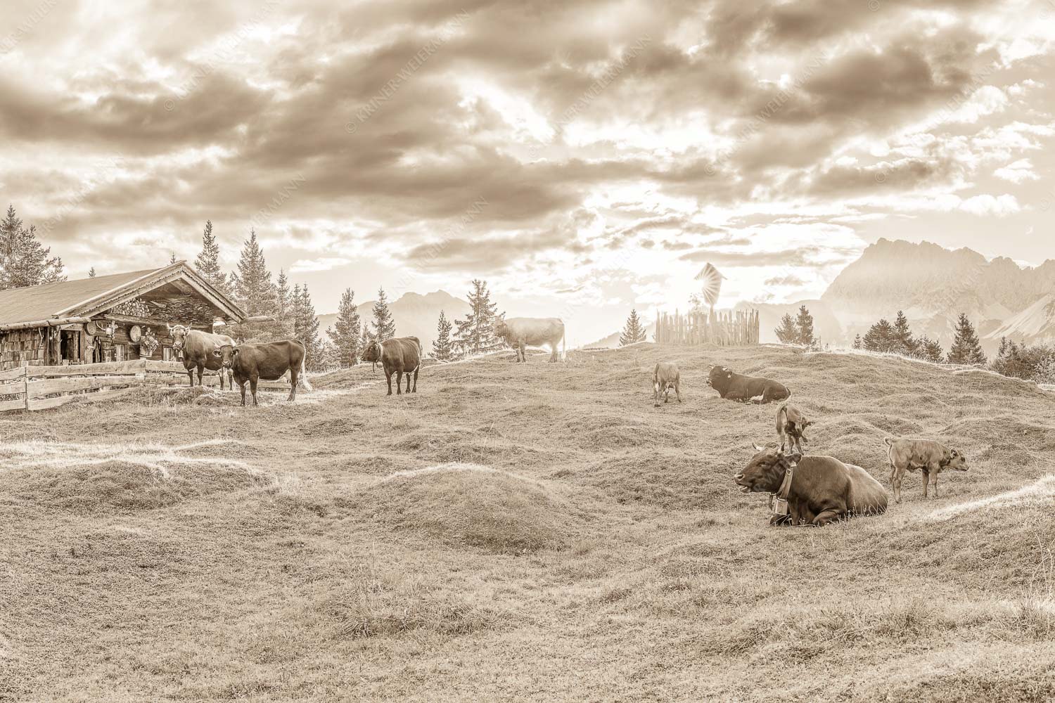 Friedliche Almwiese bei Mittenwald mit Karwendel im Morgenlicht - Oimarisch 3:2 sepia -- Mittenwald Buckelwiesen Alm - mehr Infos bei www.Kriner-Weiermann.de