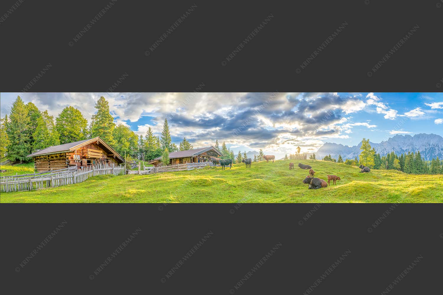 Friedliche Almwiese bei Mittenwald mit Karwendel im Morgenlicht - Oimarisch 4:1  -- Mittenwald Buckelwiesen Alm - mehr Infos bei www.Kriner-Weiermann.de