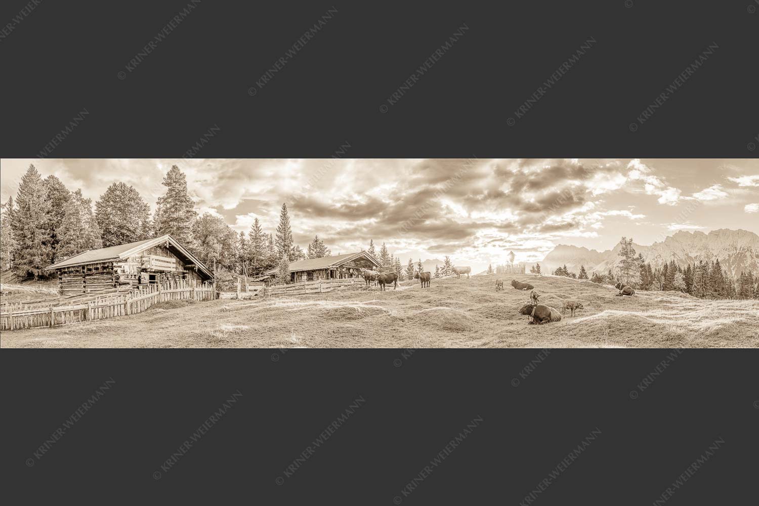 Friedliche Almwiese bei Mittenwald mit Karwendel im Morgenlicht - Oimarisch 4:1 sepia -- Mittenwald Buckelwiesen Alm - mehr Infos bei www.Kriner-Weiermann.de