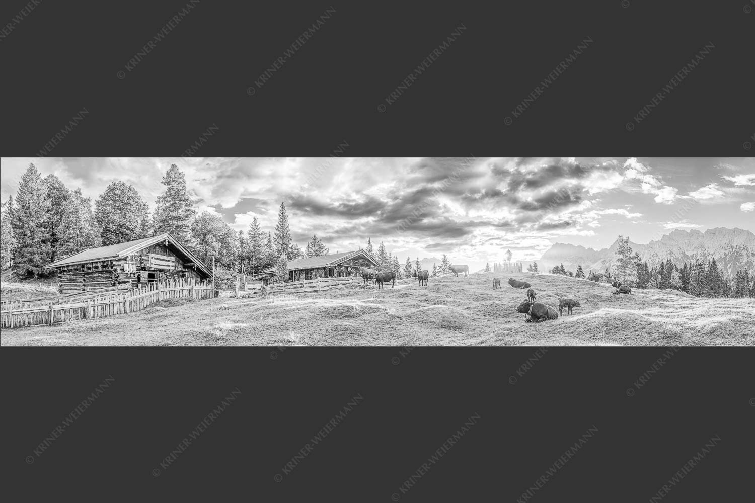 Friedliche Almwiese bei Mittenwald mit Karwendel im Morgenlicht - Oimarisch 4:1 sw -- Mittenwald Buckelwiesen Alm - mehr Infos bei www.Kriner-Weiermann.de