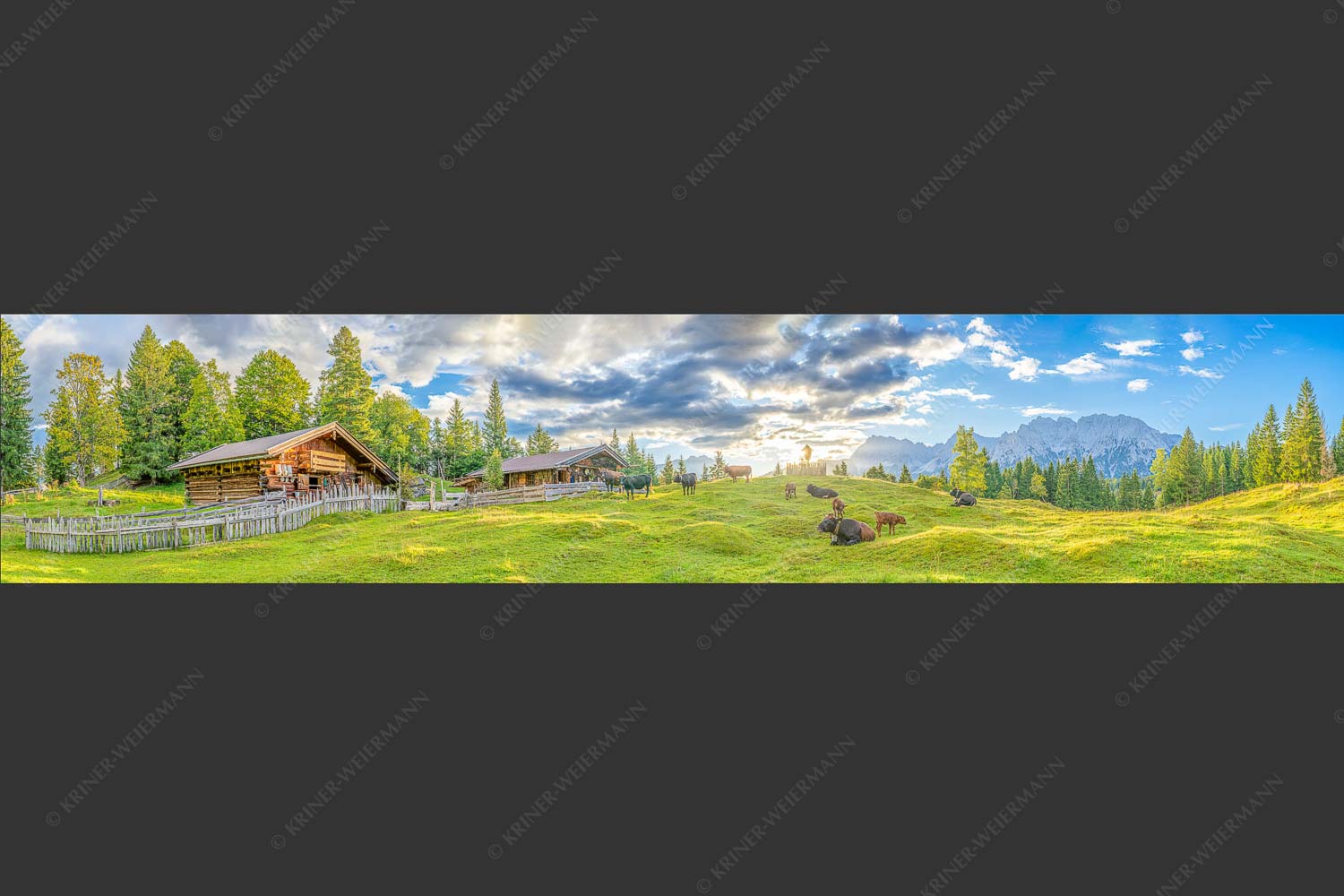 Friedliche Almwiese bei Mittenwald mit Karwendel im Morgenlicht - Oimarisch 5:1  -- Mittenwald Buckelwiesen Alm - mehr Infos bei www.Kriner-Weiermann.de