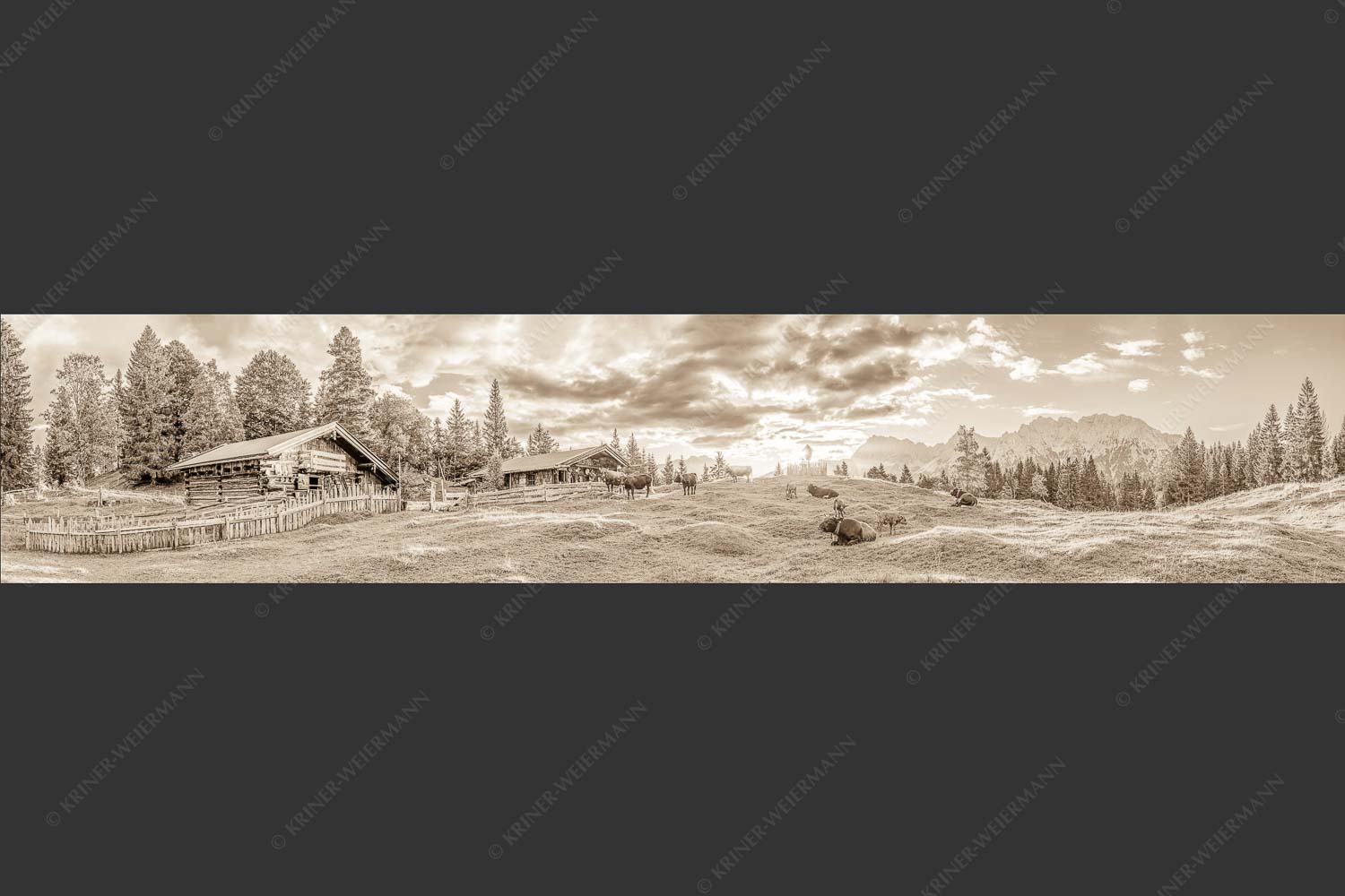 Friedliche Almwiese bei Mittenwald mit Karwendel im Morgenlicht - Oimarisch 5:1 sepia -- Mittenwald Buckelwiesen Alm - mehr Infos bei www.Kriner-Weiermann.de