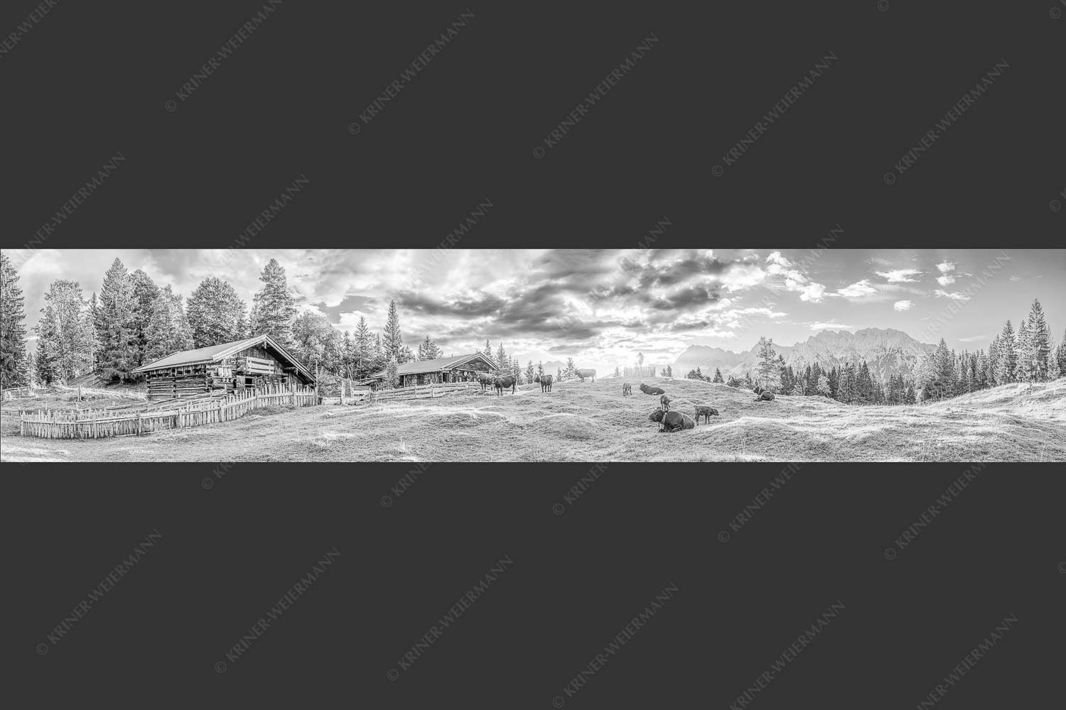 Friedliche Almwiese bei Mittenwald mit Karwendel im Morgenlicht - Oimarisch 5:1 sw -- Mittenwald Buckelwiesen Alm - mehr Infos bei www.Kriner-Weiermann.de