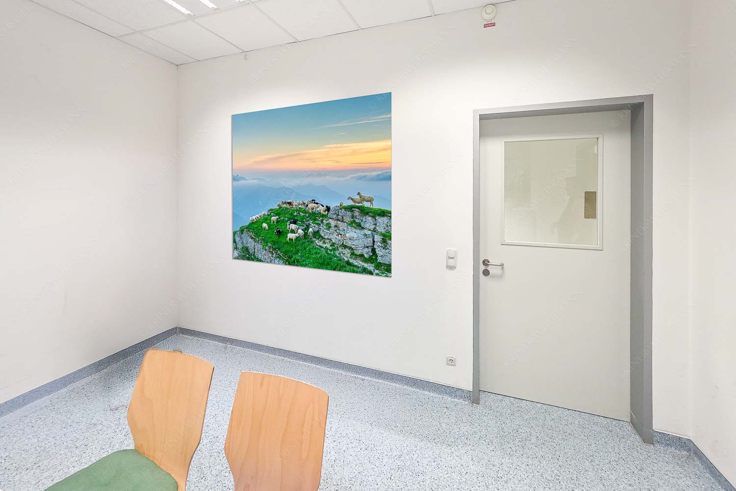 Bergschafe am Schafreiter im Karwendel bei Sonnenuntergang - Raum 043-073 Alle Schäfchen beisammen II-Schafe im Karwendel 1:1 - mehr Infos bei www.Kriner-Weiermann.de