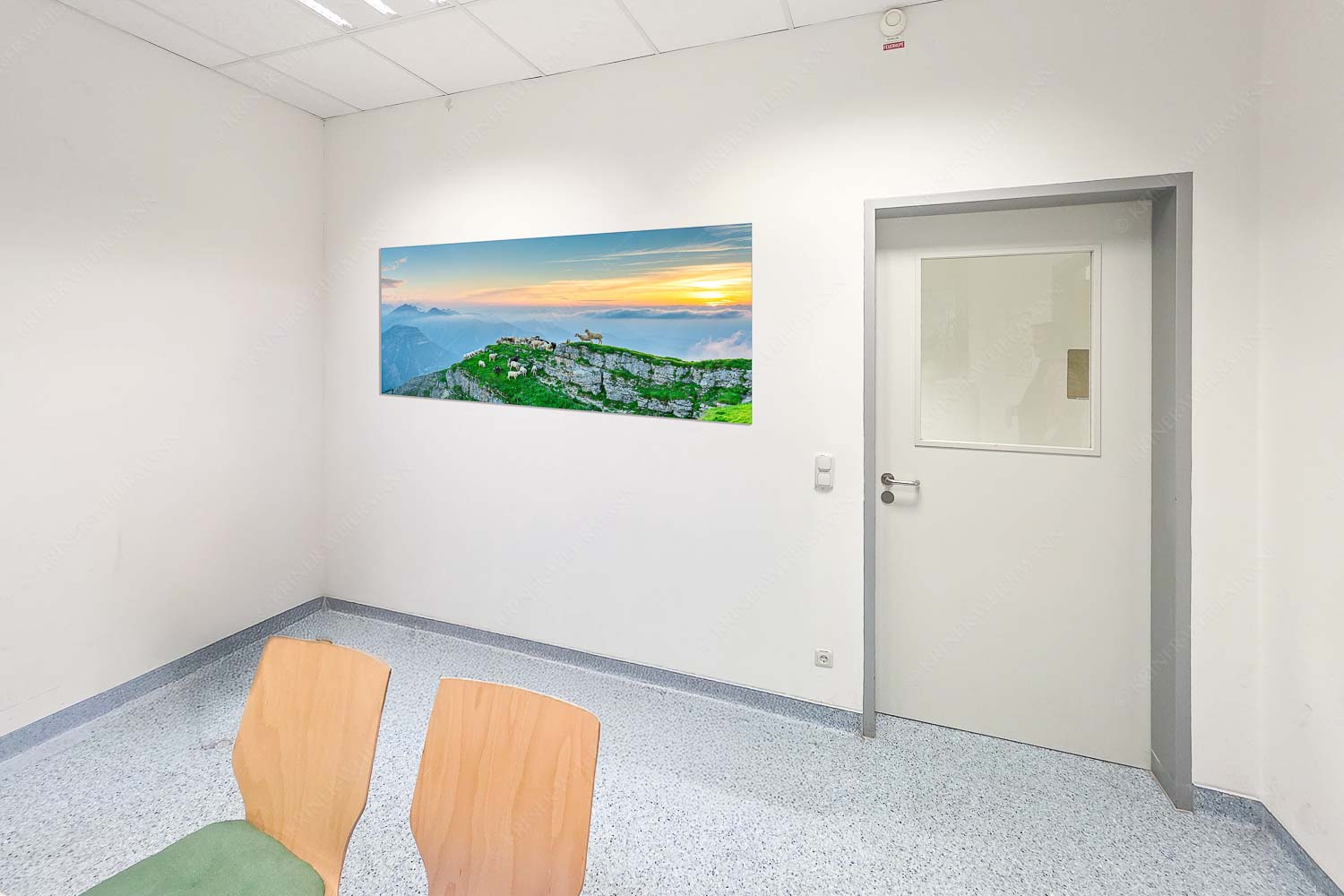 Bergschafe am Schafreiter im Karwendel bei Sonnenuntergang - Raum 043-073 Alle Schäfchen beisammen II-Schafe im Karwendel 2:1 - mehr Infos bei www.Kriner-Weiermann.de