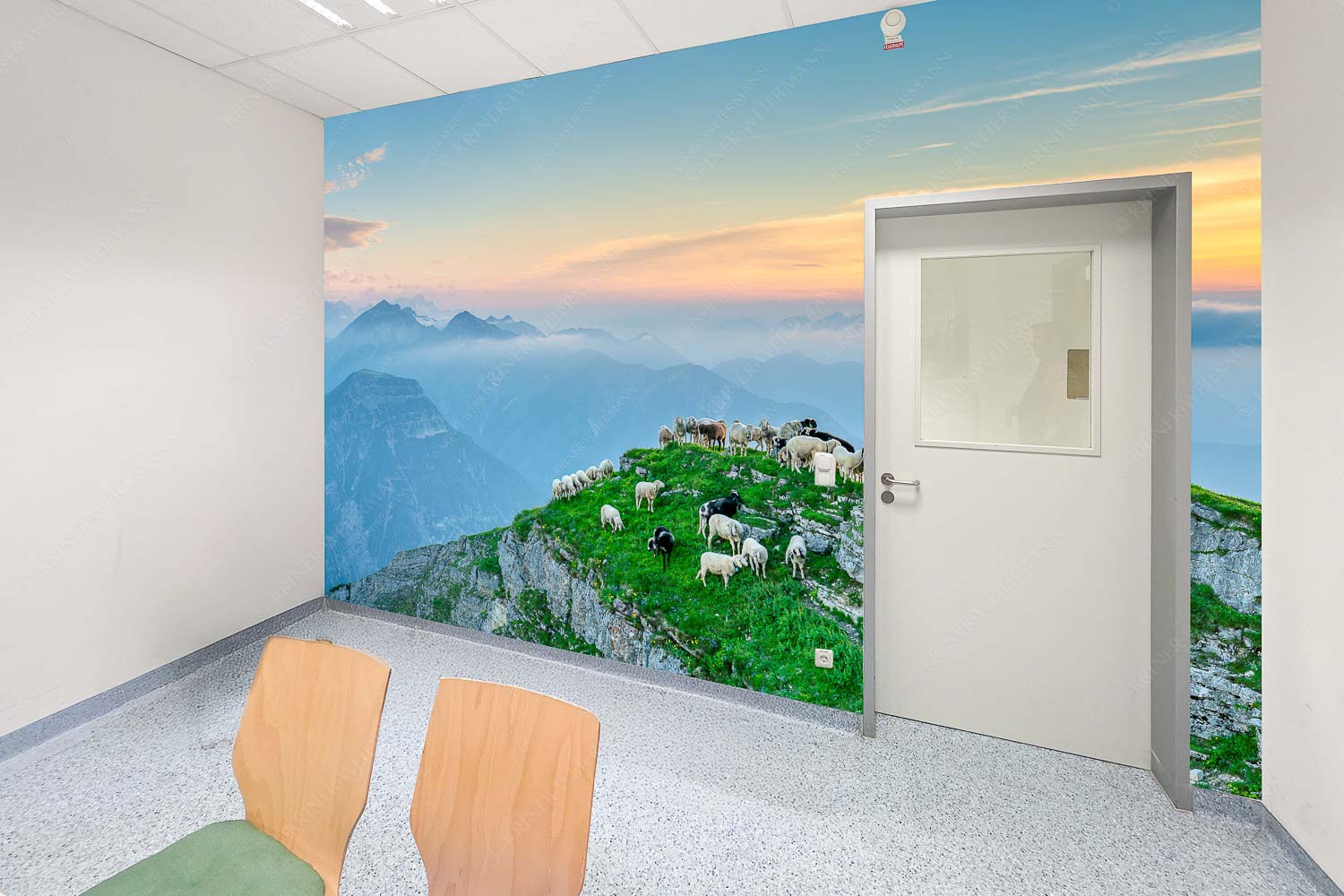 Bergschafe am Schafreiter im Karwendel bei Sonnenuntergang - Raum 043-073 Alle Schäfchen beisammen II-Schafe im Karwendel 3:2 - mehr Infos bei www.Kriner-Weiermann.de