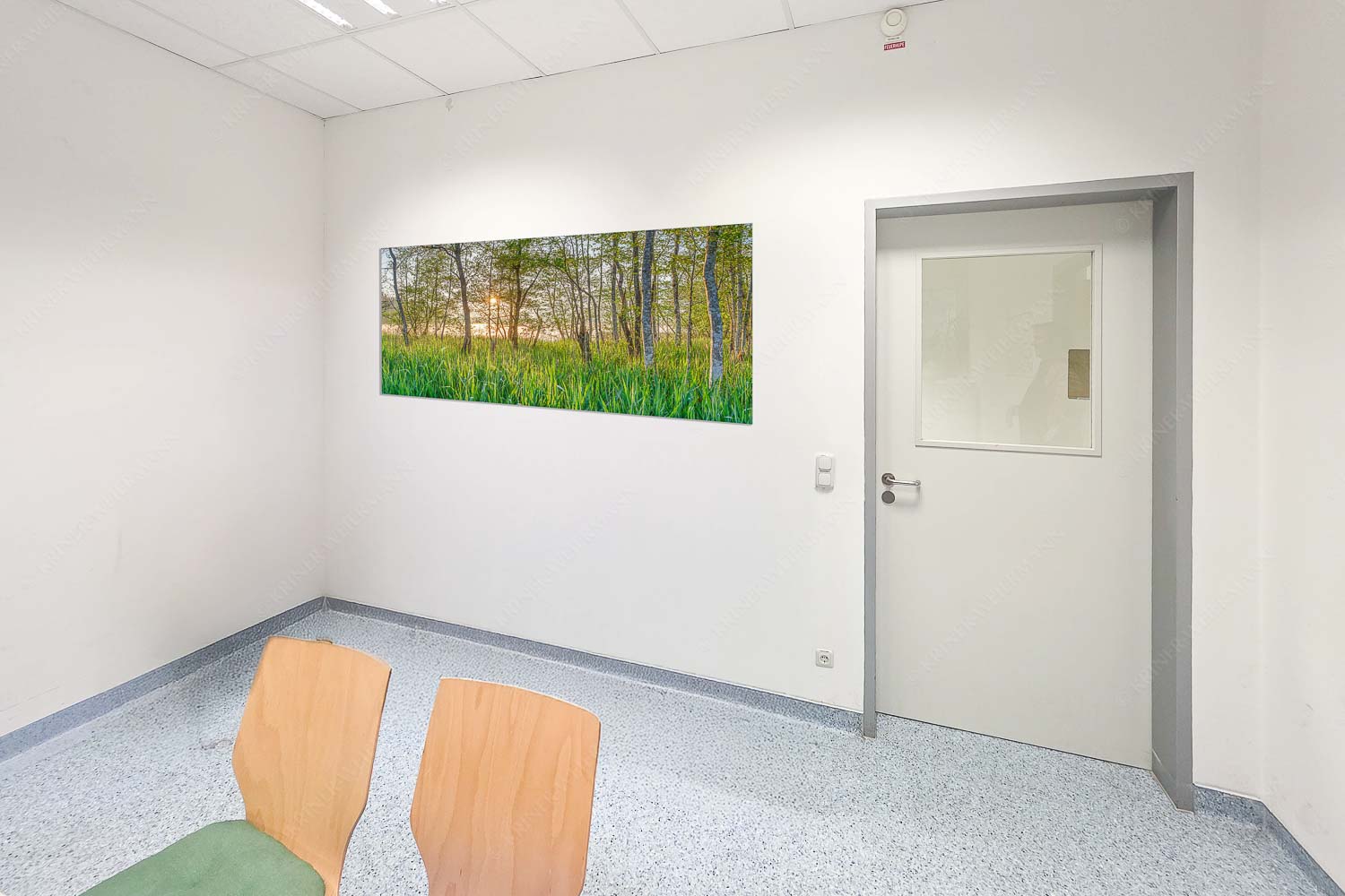 Die meisten Uferregionen am Barmsee bieten noch eine unberührte und unzugängliche Natur - Raum 043-073 Natur pur-Sonnenaufgang am Barmsee 2:1 - mehr Infos bei www.Kriner-Weiermann.de