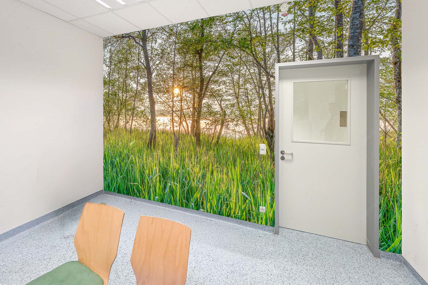 Die meisten Uferregionen am Barmsee bieten noch eine unberührte und unzugängliche Natur - Raum 043-073 Natur pur-Sonnenaufgang am Barmsee 3:2 - mehr Infos bei www.Kriner-Weiermann.de