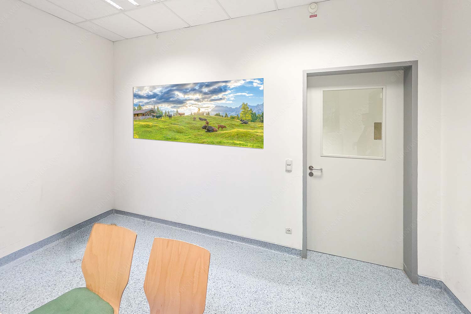 Friedliche Almwiese bei Mittenwald mit Karwendel im Morgenlicht - Raum 043-073 Oimarisch-Mittenwald Buckelwiesen Alm 2:1 - mehr Infos bei www.Kriner-Weiermann.de