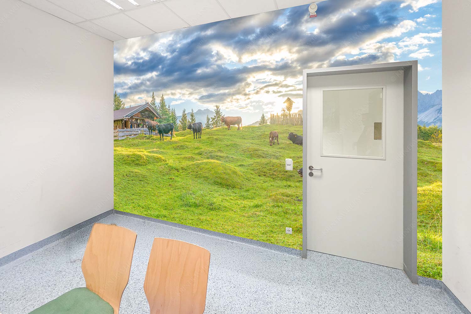 Friedliche Almwiese bei Mittenwald mit Karwendel im Morgenlicht - Raum 043-073 Oimarisch-Mittenwald Buckelwiesen Alm 3:2 - mehr Infos bei www.Kriner-Weiermann.de