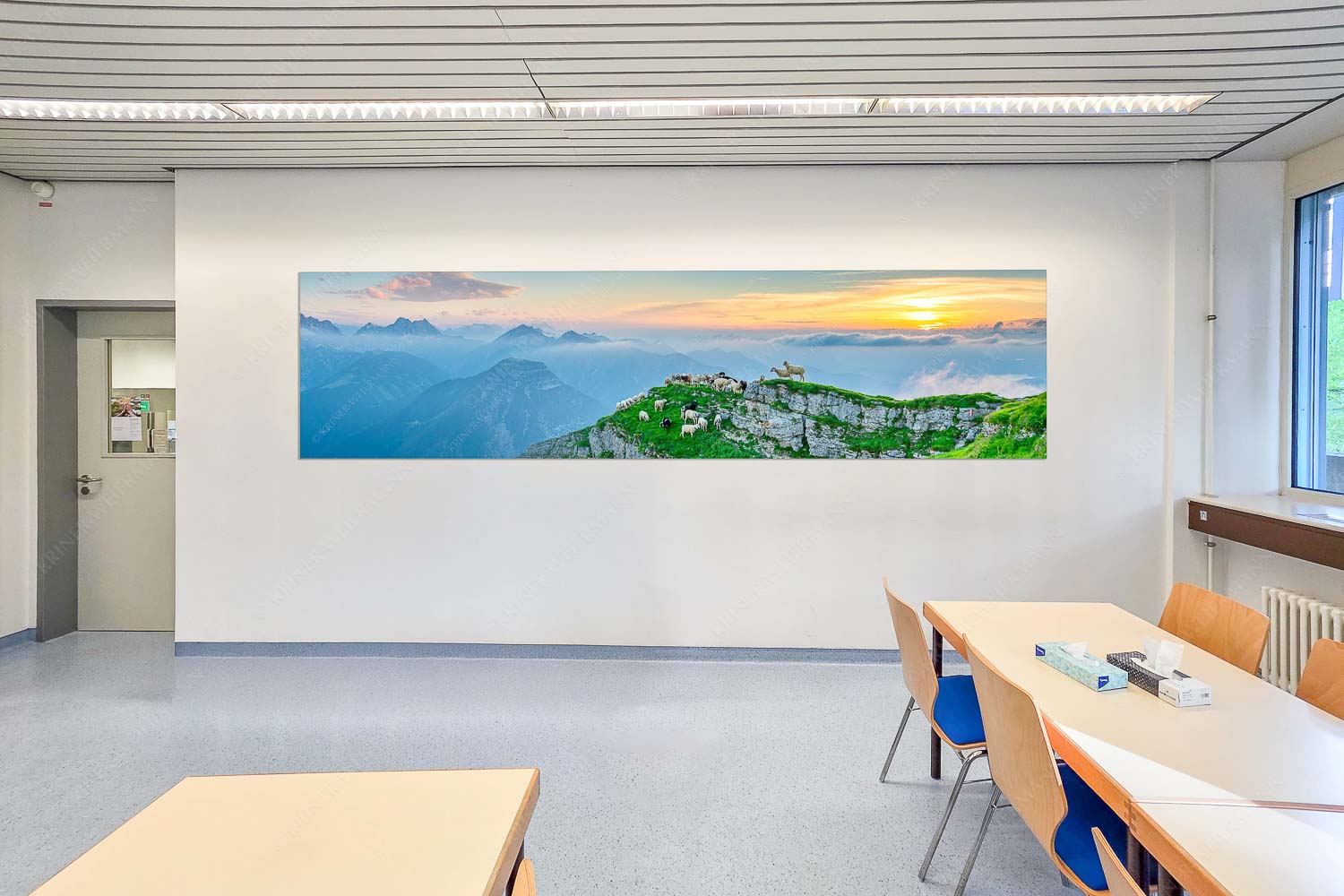 Bergschafe am Schafreiter im Karwendel bei Sonnenuntergang - Raum 044-073 Alle Schäfchen beisammen II-Schafe im Karwendel 4:1 - mehr Infos bei www.Kriner-Weiermann.de