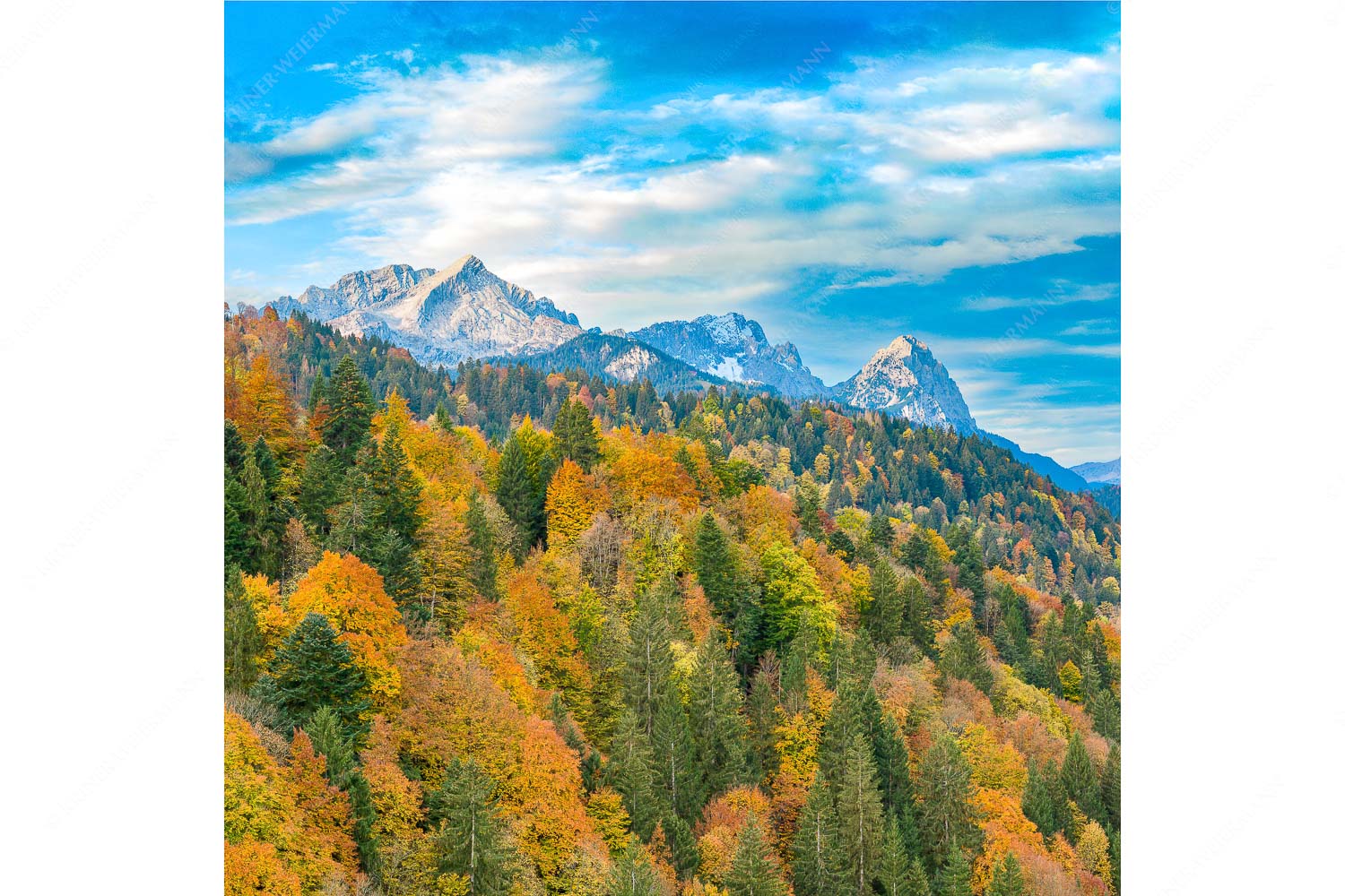 Blick über Herbstwald zum Zugspitzmassiv im Wettersteingebirge - Indian Summer Dahoam_1zu1 - mehr Infos bei www.Kriner-Weiermann.de