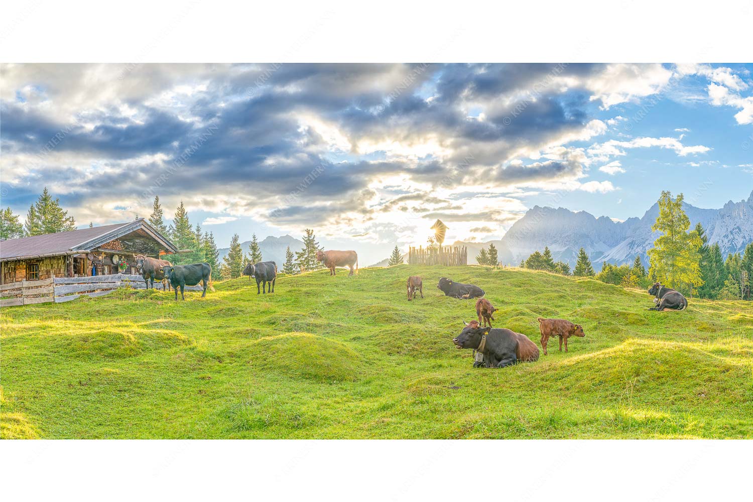 Friedliche Almwiese bei Mittenwald mit Karwendel im Morgenlicht - Oimarisch_2zu1 - mehr Infos bei www.Kriner-Weiermann.de