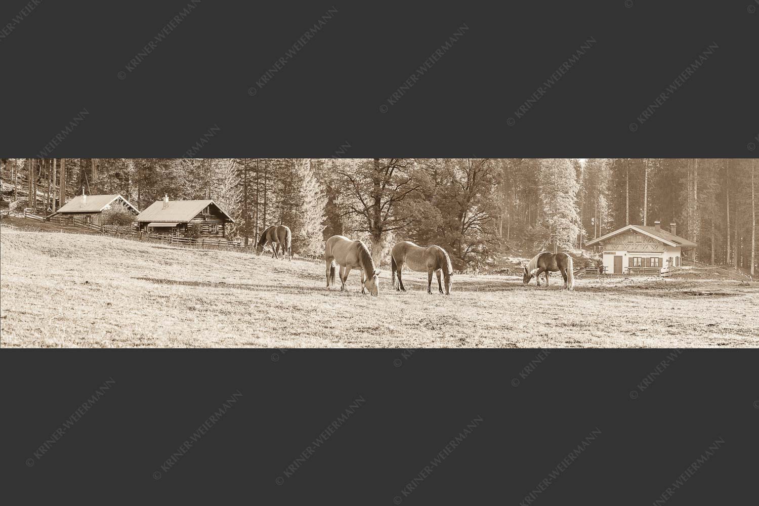 Pferde auf der Brandlealm im Karwendelgebirge - Almharmonie II 4:1 sepia -- Pferde Brandlealm Karwendel - mehr Infos bei www.Kriner-Weiermann.de