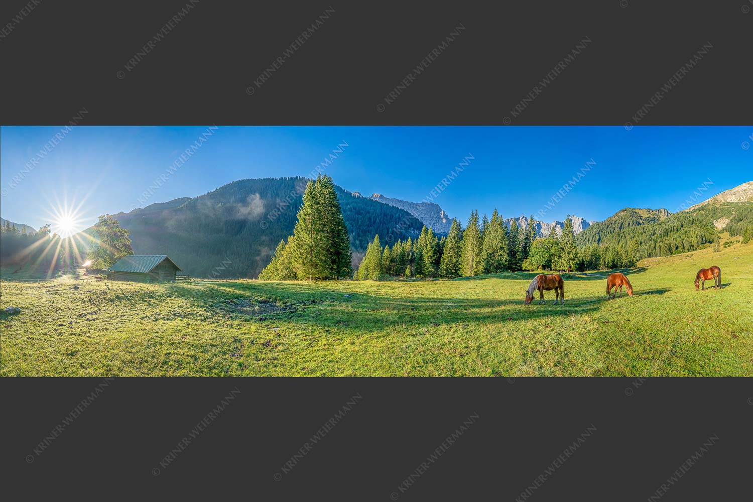 Pferde auf der Brandlealm mit Soiernspitze und Karwendelgebirge - Almharmonie 3:1  -- Pferde Brandlealm Karwendel - mehr Infos bei www.Kriner-Weiermann.de