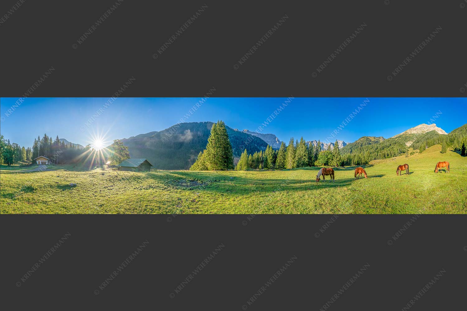 Pferde auf der Brandlealm mit Soiernspitze und Karwendelgebirge - Almharmonie 4:1  -- Pferde Brandlealm Karwendel - mehr Infos bei www.Kriner-Weiermann.de