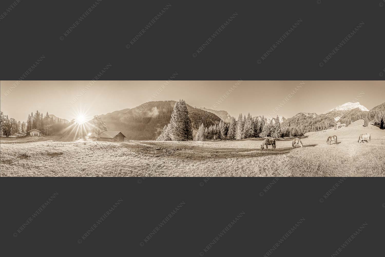 Pferde auf der Brandlealm mit Soiernspitze und Karwendelgebirge - Almharmonie 4:1 sepia -- Pferde Brandlealm Karwendel - mehr Infos bei www.Kriner-Weiermann.de