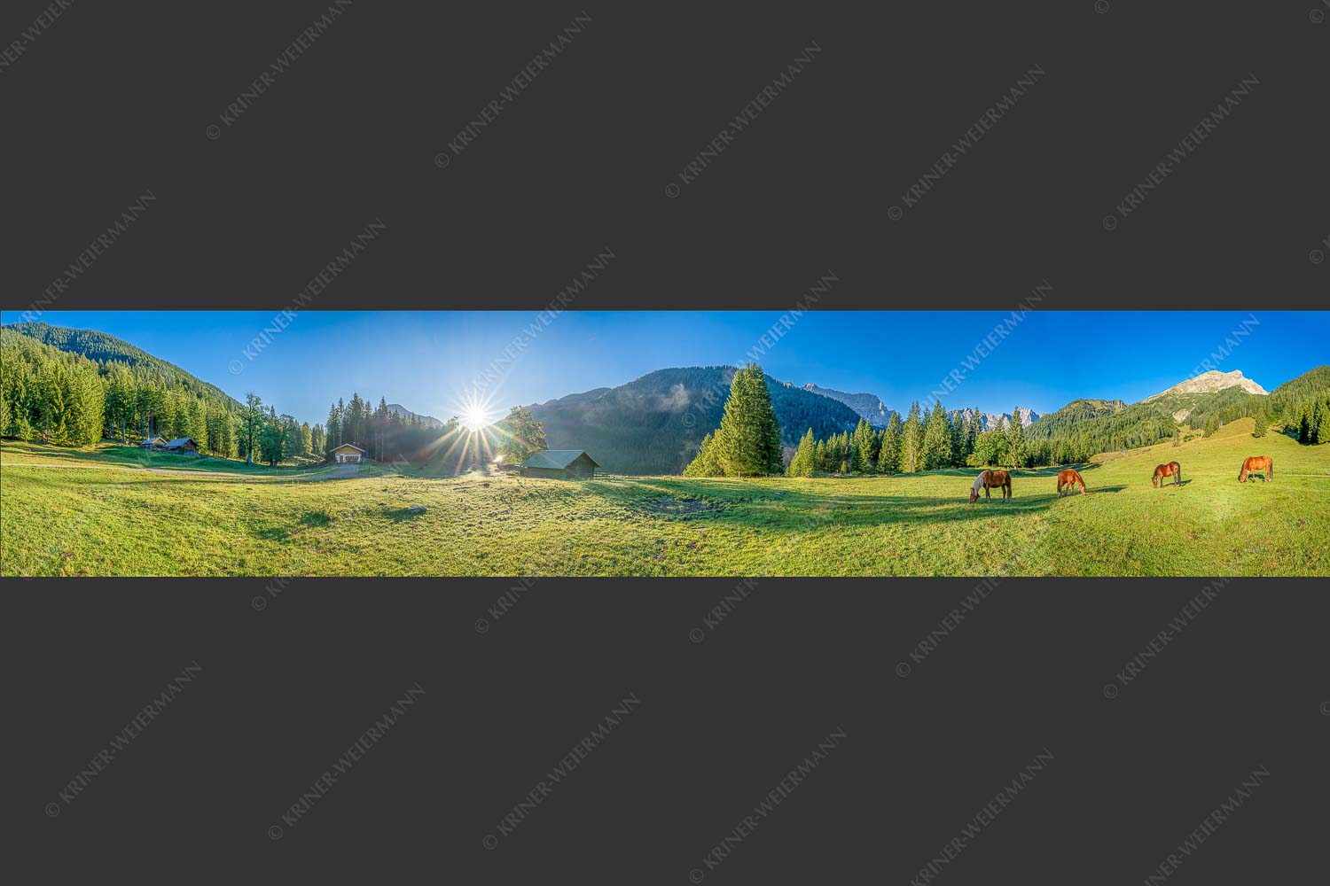 Pferde auf der Brandlealm mit Soiernspitze und Karwendelgebirge - Almharmonie 5:1  -- Pferde Brandlealm Karwendel - mehr Infos bei www.Kriner-Weiermann.de