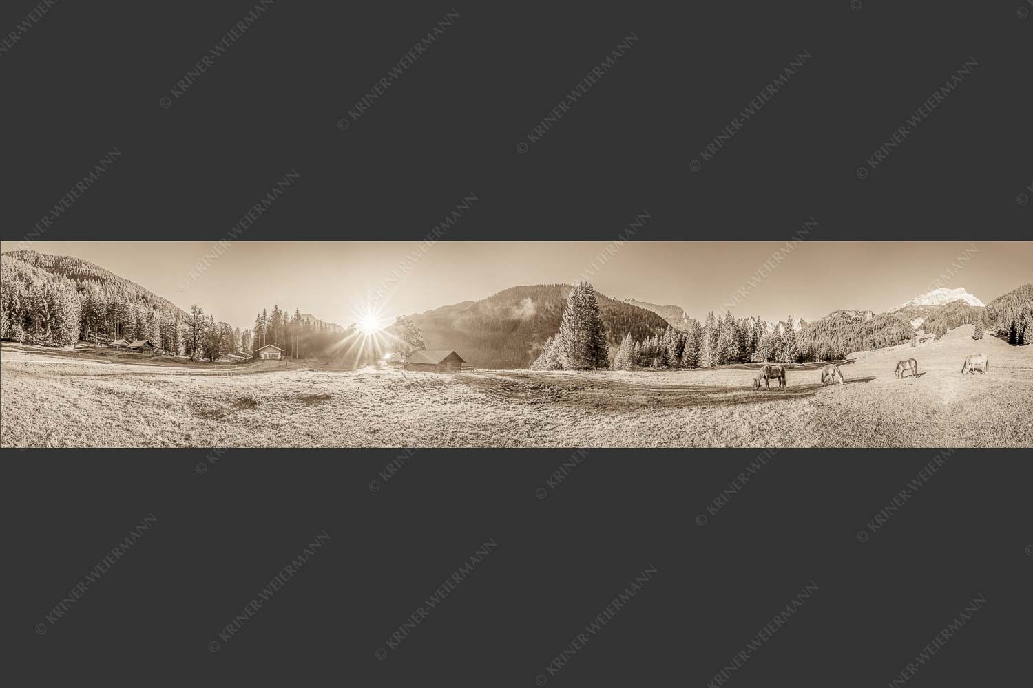 Pferde auf der Brandlealm mit Soiernspitze und Karwendelgebirge - Almharmonie 5:1 sepia -- Pferde Brandlealm Karwendel - mehr Infos bei www.Kriner-Weiermann.de