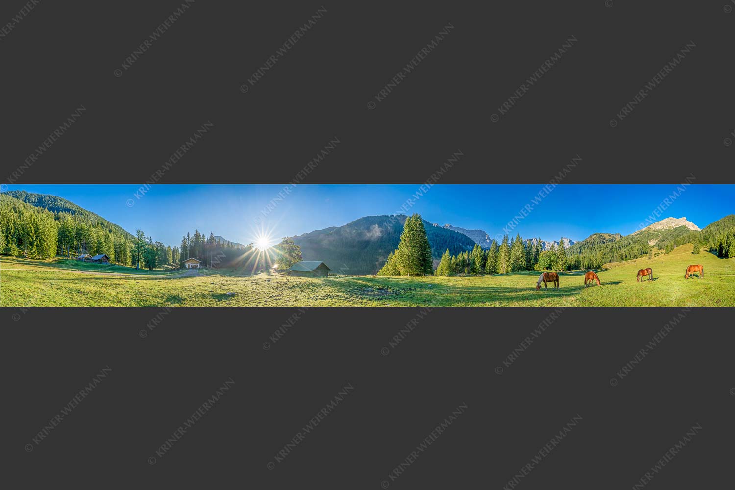 Pferde auf der Brandlealm mit Soiernspitze und Karwendelgebirge - Almharmonie 6:1  -- Pferde Brandlealm Karwendel - mehr Infos bei www.Kriner-Weiermann.de