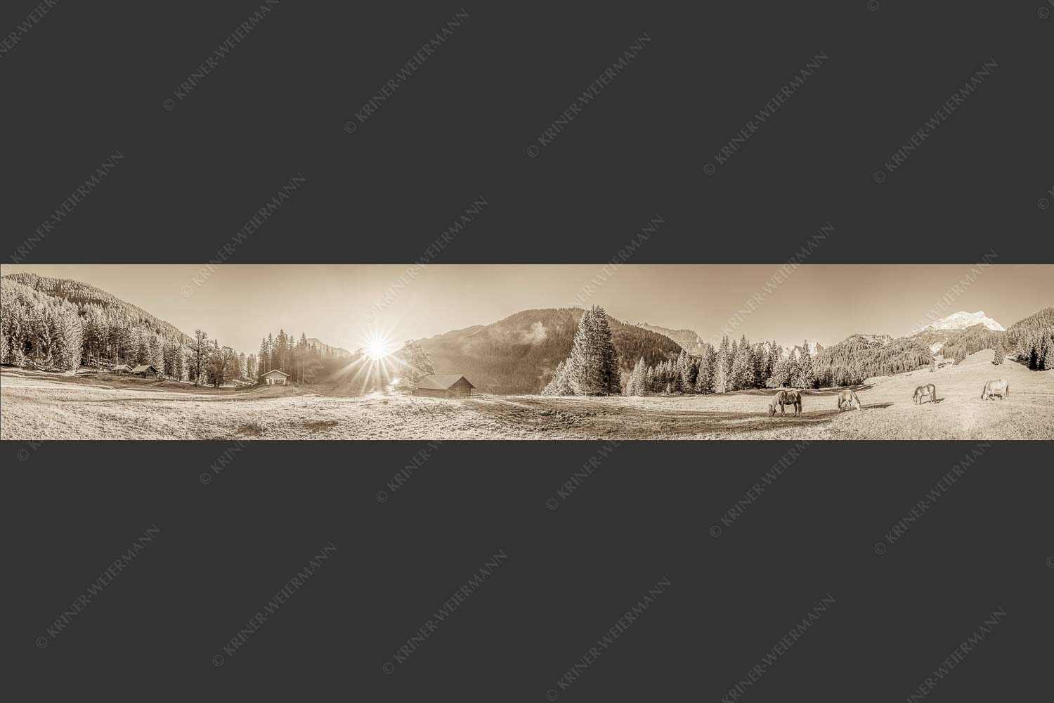 Pferde auf der Brandlealm mit Soiernspitze und Karwendelgebirge - Almharmonie 6:1 sepia -- Pferde Brandlealm Karwendel - mehr Infos bei www.Kriner-Weiermann.de