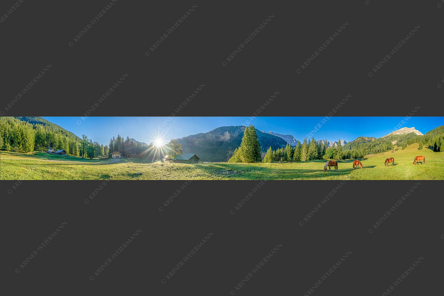 Pferde auf der Brandlealm mit Soiernspitze und Karwendelgebirge - Almharmonie 7:1  -- Pferde Brandlealm Karwendel - mehr Infos bei www.Kriner-Weiermann.de