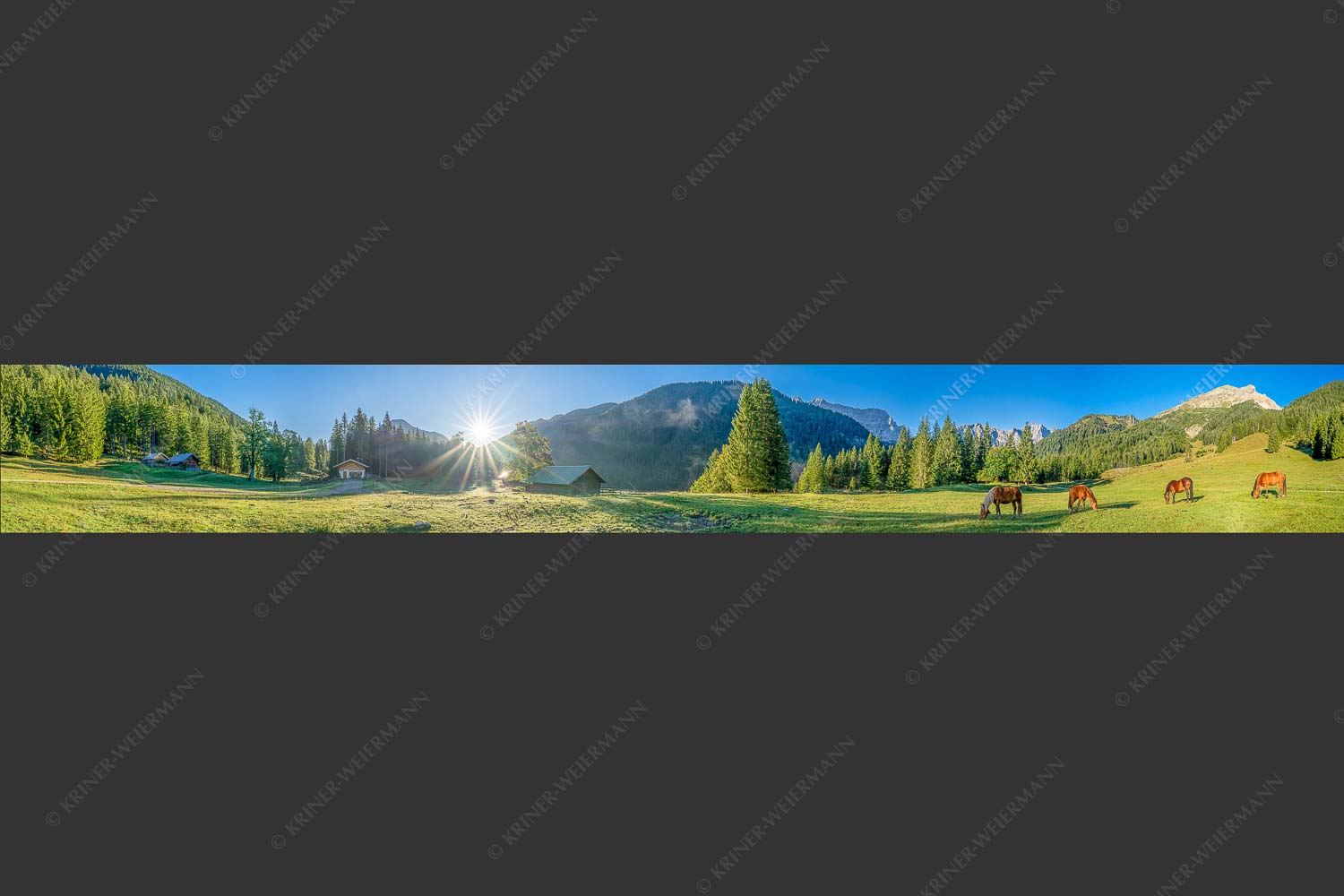 Pferde auf der Brandlealm mit Soiernspitze und Karwendelgebirge - Almharmonie 8:1  -- Pferde Brandlealm Karwendel - mehr Infos bei www.Kriner-Weiermann.de