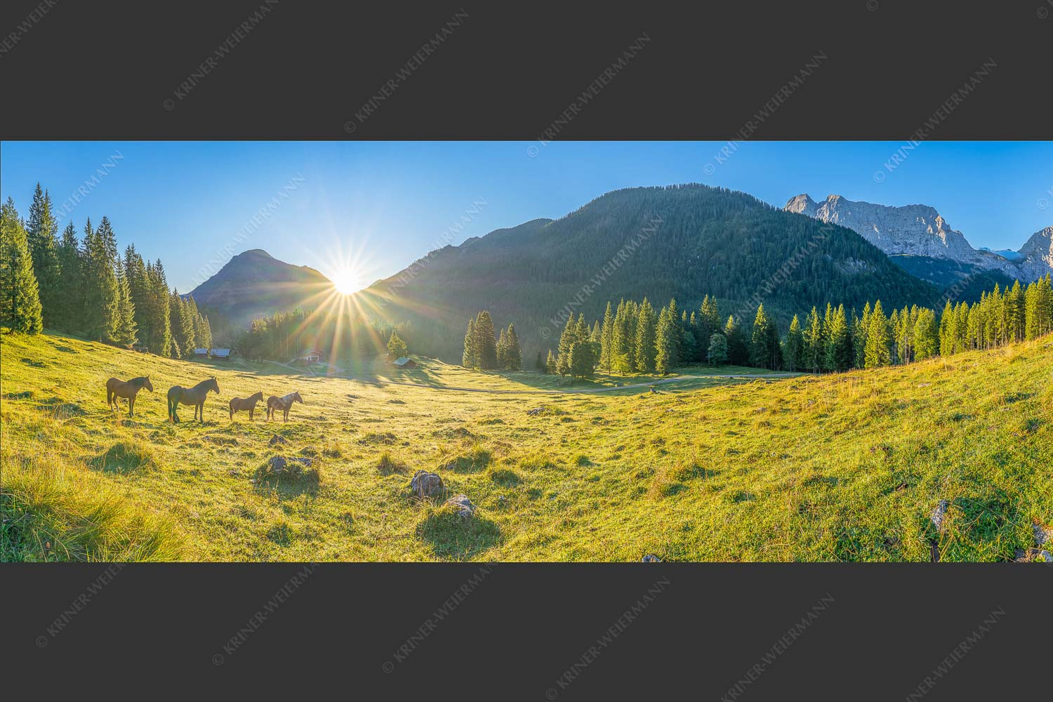 Sonnenaufgang auf der Brandlealm im Karwendelgebirge - Almpferde 2,5:1  -- Brandlealm - mehr Infos bei www.Kriner-Weiermann.de