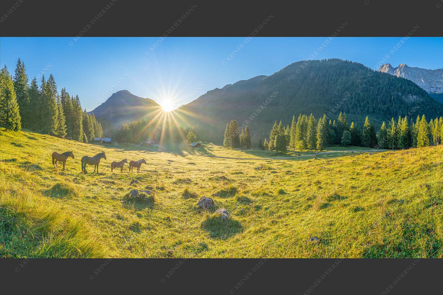Sonnenaufgang auf der Brandlealm im Karwendelgebirge - Almpferde 2:1  -- Brandlealm - mehr Infos bei www.Kriner-Weiermann.de