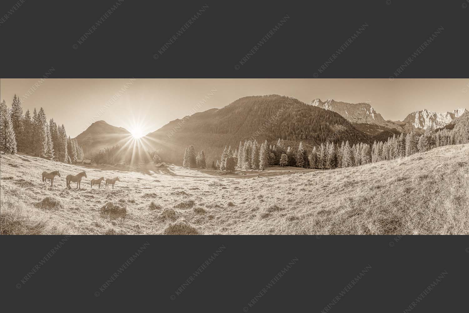 Sonnenaufgang auf der Brandlealm im Karwendelgebirge - Almpferde 3:1 sepia -- Brandlealm - mehr Infos bei www.Kriner-Weiermann.de