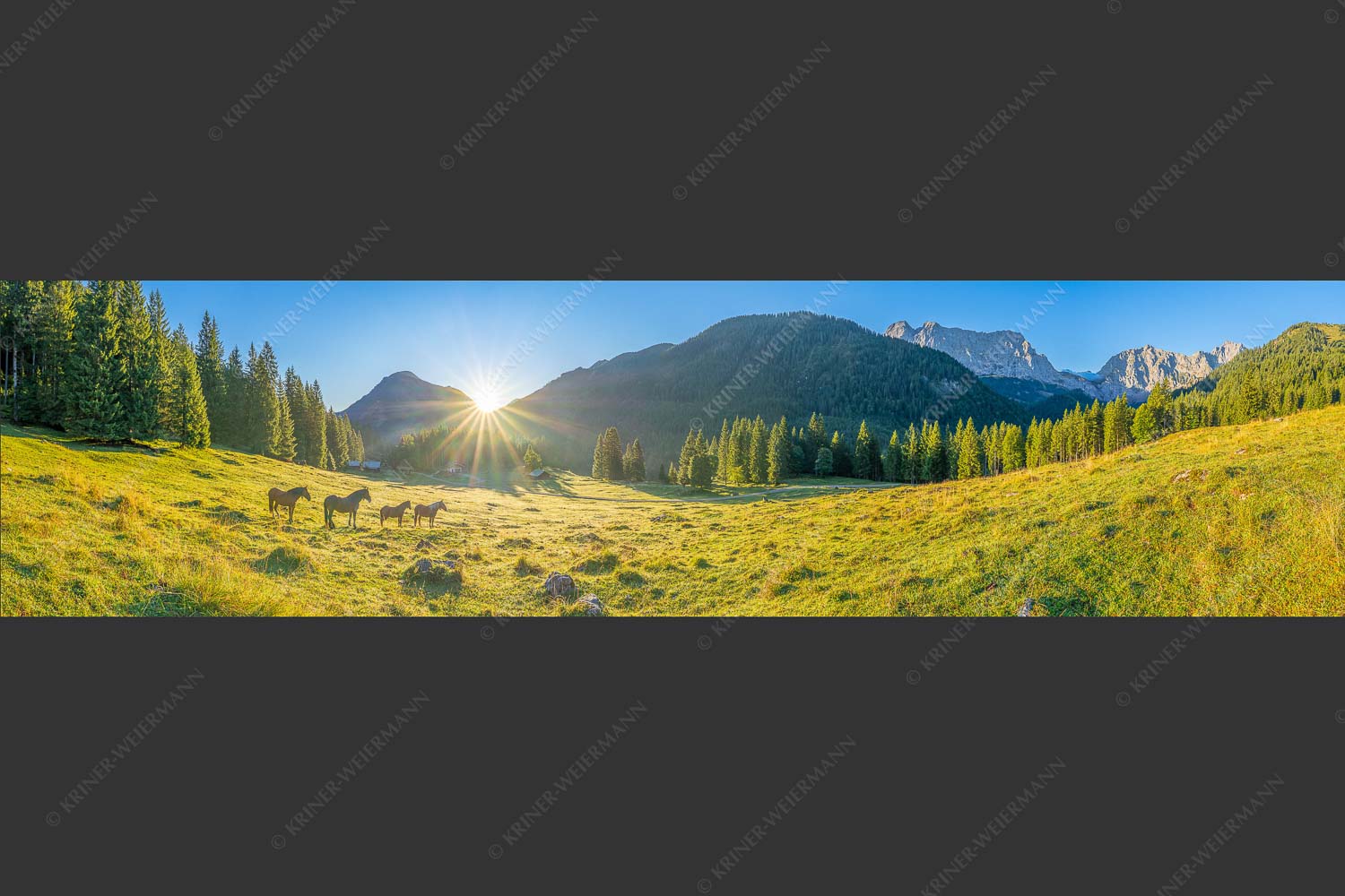 Sonnenaufgang auf der Brandlealm im Karwendelgebirge - Almpferde 4:1  -- Brandlealm - mehr Infos bei www.Kriner-Weiermann.de