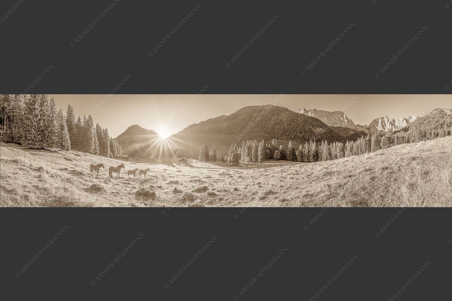 Sonnenaufgang auf der Brandlealm im Karwendelgebirge - Almpferde 4:1 sepia -- Brandlealm - mehr Infos bei www.Kriner-Weiermann.de