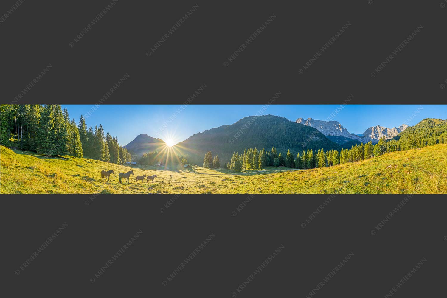 Sonnenaufgang auf der Brandlealm im Karwendelgebirge - Almpferde 5:1  -- Brandlealm - mehr Infos bei www.Kriner-Weiermann.de