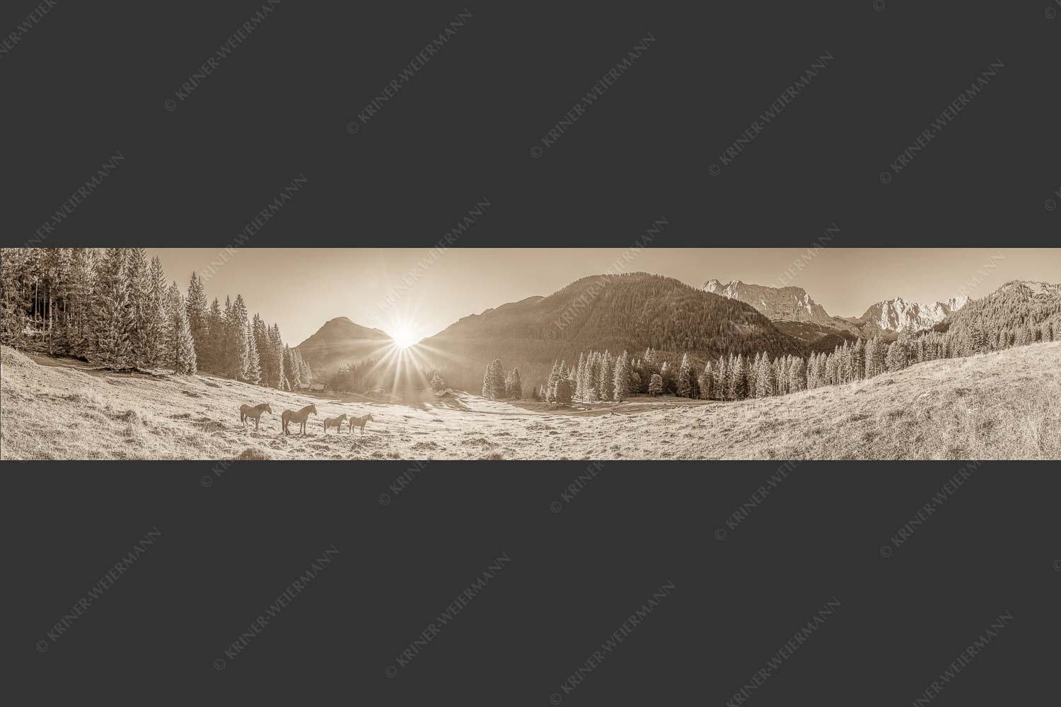 Sonnenaufgang auf der Brandlealm im Karwendelgebirge - Almpferde 5:1 sepia -- Brandlealm - mehr Infos bei www.Kriner-Weiermann.de