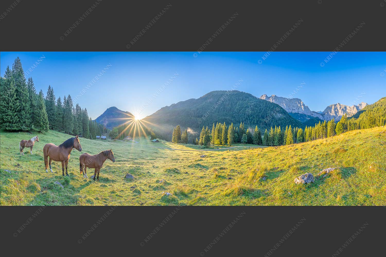 Sonnenaufgang auf der Brandlealm im Karwendelgebirge - Almpferde II 2,5:1  -- Brandlealm Pferde Karwendel - mehr Infos bei www.Kriner-Weiermann.de
