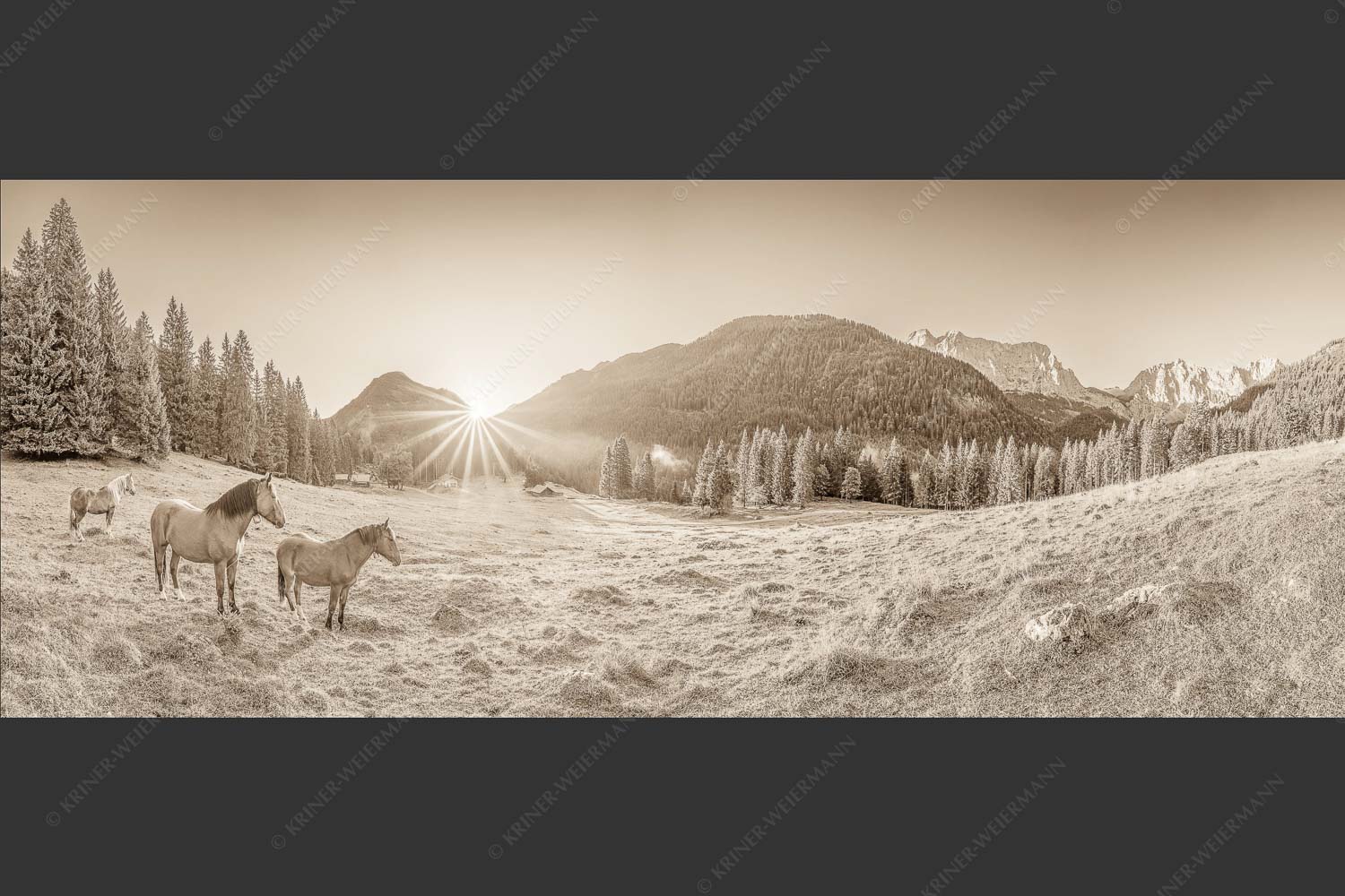 Sonnenaufgang auf der Brandlealm im Karwendelgebirge - Almpferde II 2,5:1 sepia -- Brandlealm Pferde Karwendel - mehr Infos bei www.Kriner-Weiermann.de